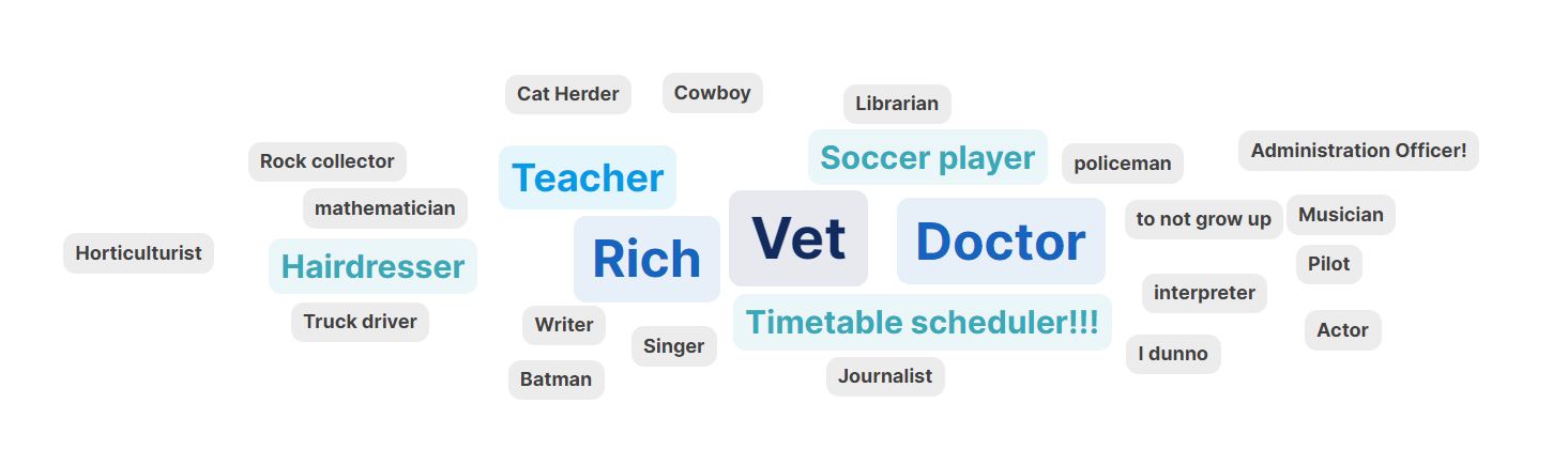 Career ambitions?